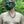 Load image into Gallery viewer, Full Persian Collar