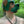 Load image into Gallery viewer, Full Persian Collar