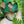 Load image into Gallery viewer, Full Persian Collar