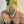 Load image into Gallery viewer, 4-1 Half Persian Collar